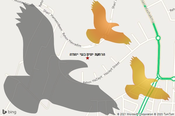 הרחקת יונים בגני יהודה