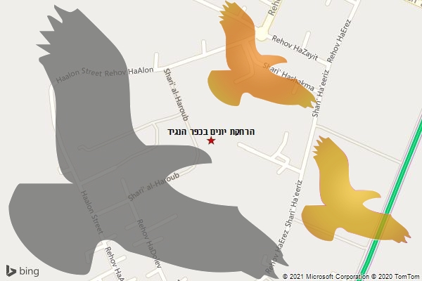 הרחקת יונים בכפר הנגיד