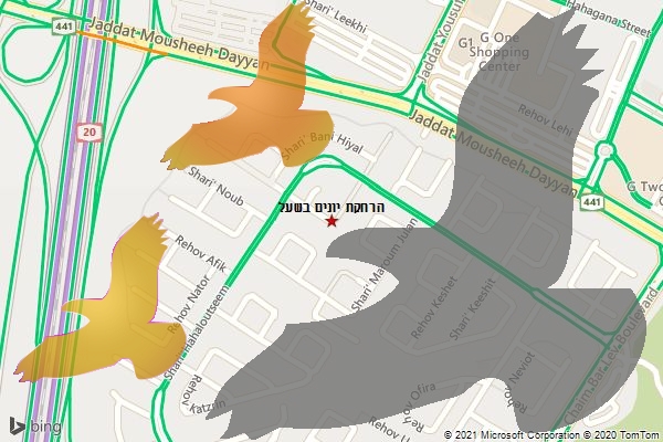 הרחקת יונים בשעל