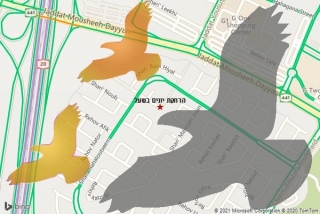 מרחיק יונים בשעל - הרחקת יונים בשעל