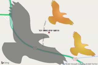 מרחיק יונים במחנה יבור - הרחקת יונים במחנה יבור