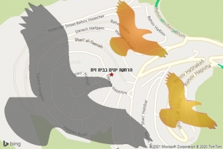 מרחיק יונים בבית זית - הרחקת יונים בבית זית