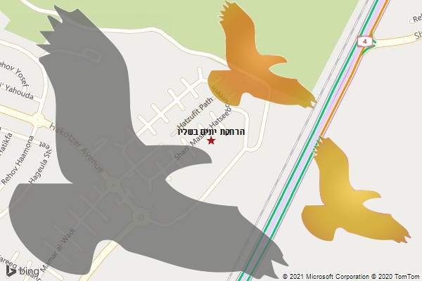 הרחקת יונים בשליו