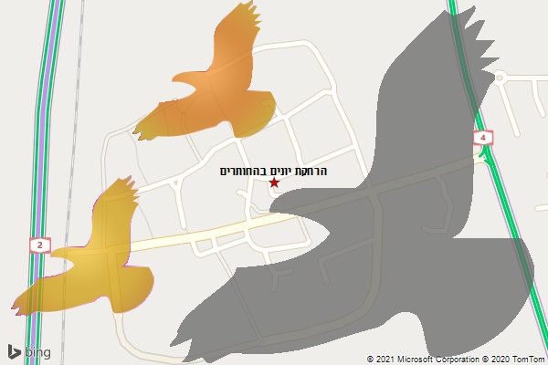 הרחקת יונים בהחותרים