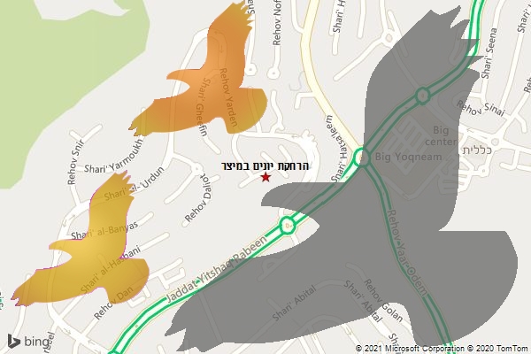 הרחקת יונים במיצר