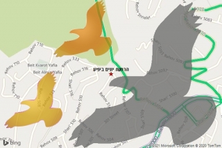מרחיק יונים ביפיע - הרחקת יונים ביפיע