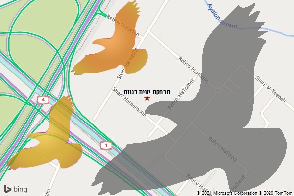 הרחקת יונים בגנות
