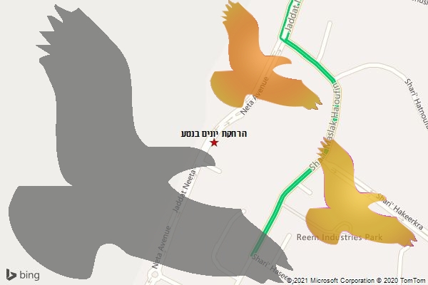 הרחקת יונים בנטע