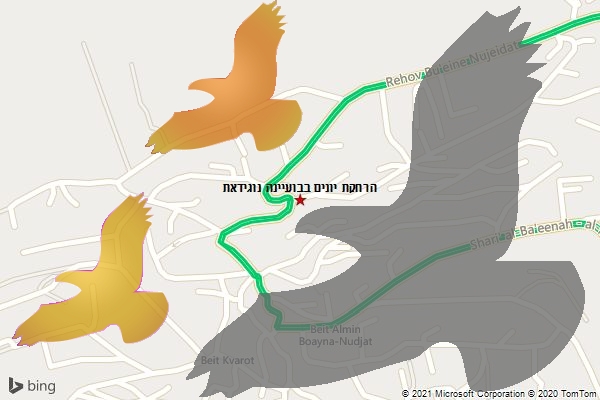הרחקת יונים בבועיינה נוגידאת