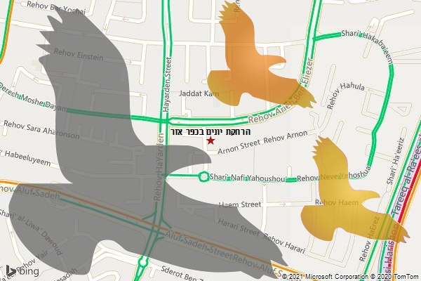 הרחקת יונים בכפר אזר