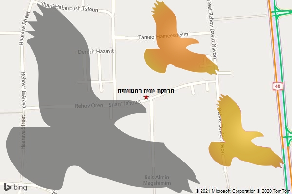 הרחקת יונים במגשימים