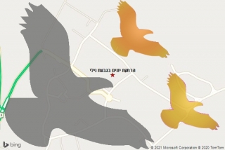 מרחיק יונים בגבעת נילי - הרחקת יונים בגבעת נילי