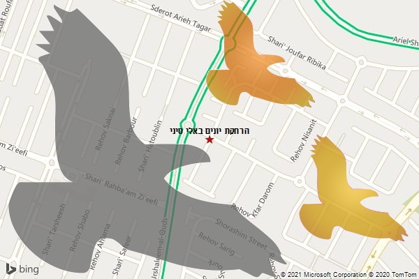 הרחקת יונים באלי סיני