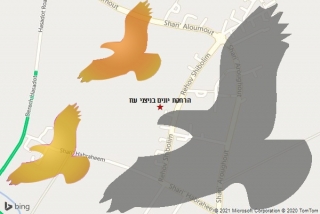 מרחיק יונים בניצני עוז - הרחקת יונים בניצני עוז