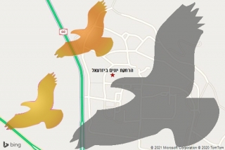 מרחיק יונים ביזרעאל - הרחקת יונים ביזרעאל