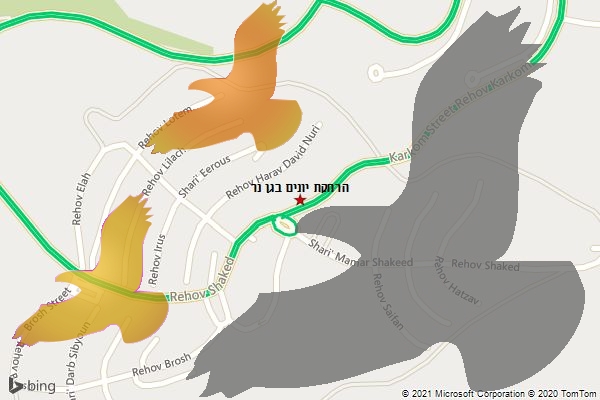 הרחקת יונים בגן נר