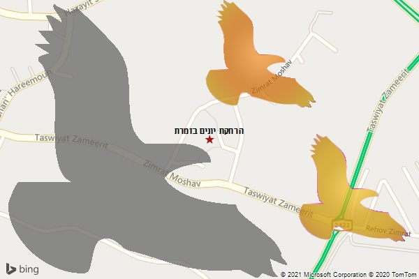 הרחקת יונים בזמרת