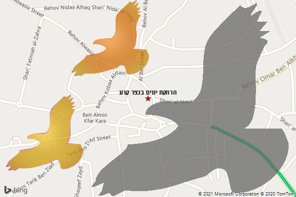 הרחקת יונים בכפר קרע
