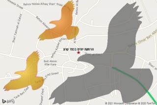 מרחיק יונים בכפר קרע - הרחקת יונים בכפר קרע