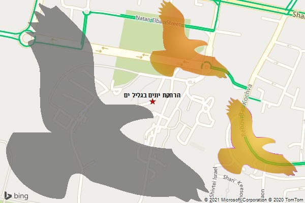 הרחקת יונים בגליל ים