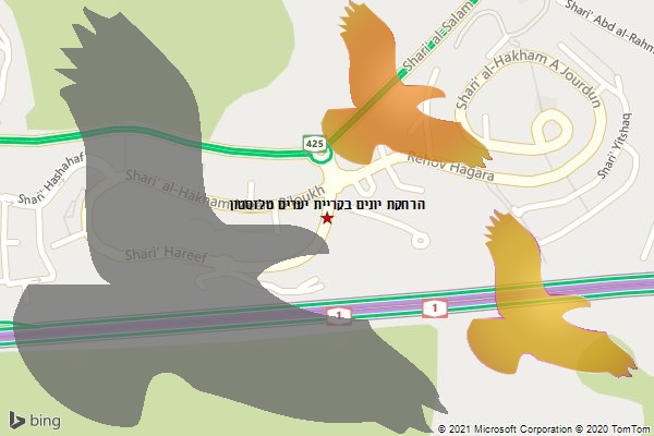 הרחקת יונים בקריית יערים טלזסטון