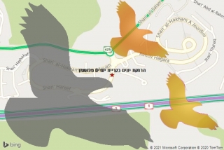 מרחיק יונים בקריית יערים טלזסטון - הרחקת יונים בקריית יערים טלזסטון
