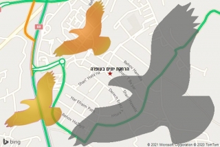 מרחיק יונים בעופרה - הרחקת יונים בעופרה