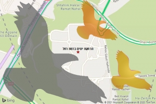 מרחיק יונים ברמת רחל - הרחקת יונים ברמת רחל