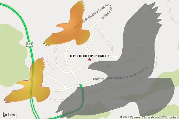 הרחקת יונים בשדות מיכה