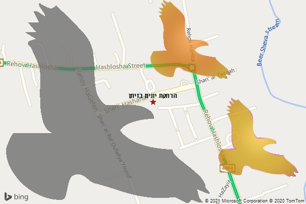 הרחקת יונים בזיתן