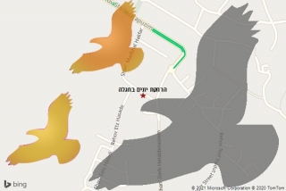 מרחיק יונים בחגלה - הרחקת יונים בחגלה