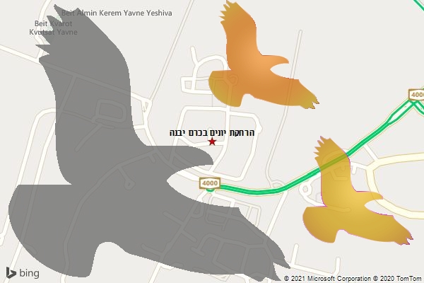 הרחקת יונים בכרם יבנה