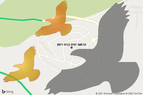 הרחקת יונים בבית רימון