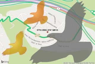 מרחיק יונים במוצא עילית - הרחקת יונים במוצא עילית