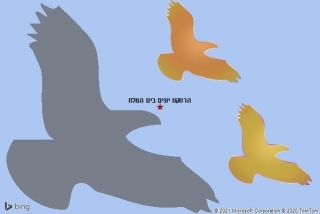 מרחיק יונים בים המלח - הרחקת יונים בים המלח