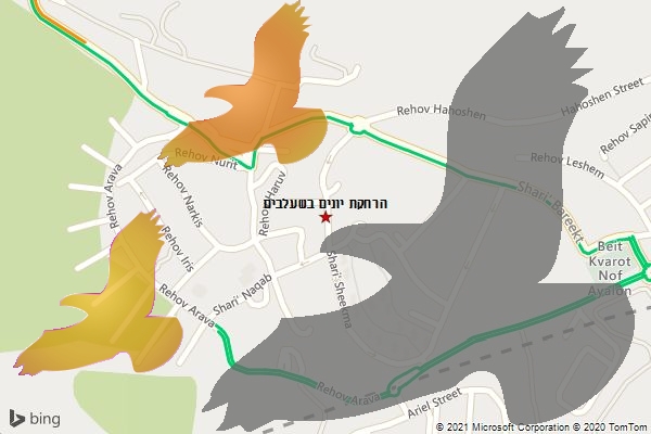 הרחקת יונים בשעלבים