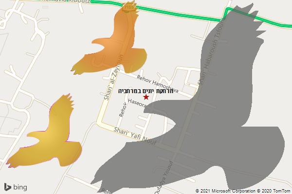 הרחקת יונים במרחביה
