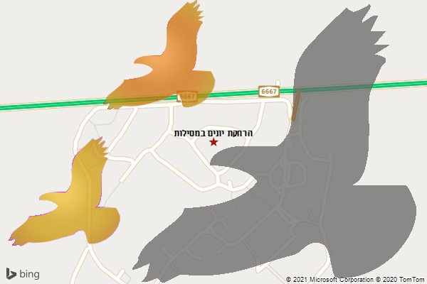 הרחקת יונים במסילות