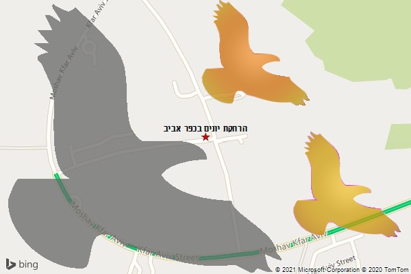 הרחקת יונים בכפר אביב
