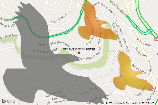 הרחקת יונים בגבעת זאב