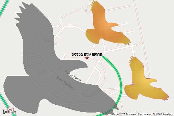 הרחקת יונים בטללים