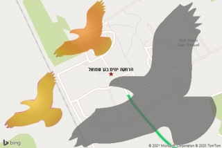 מרחיק יונים בגן שמואל - הרחקת יונים בגן שמואל