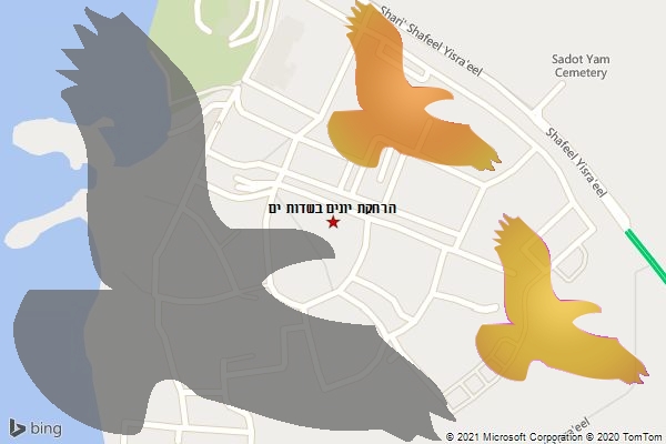 הרחקת יונים בשדות ים