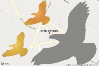 מרחיק יונים במצליח - הרחקת יונים במצליח