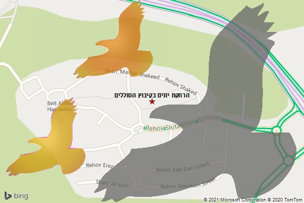 הרחקת יונים בקיבוץ הסוללים