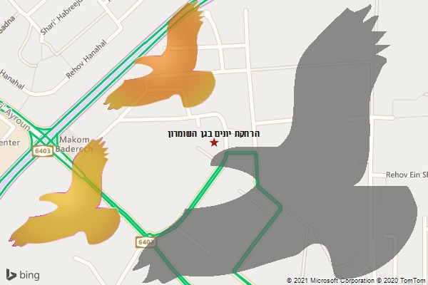 הרחקת יונים בגן השומרון
