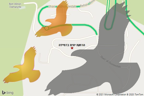 הרחקת יונים בדמיידה