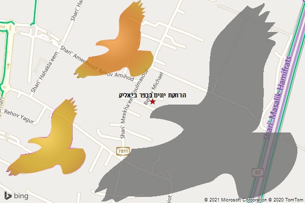 הרחקת יונים בכפר ביאליק
