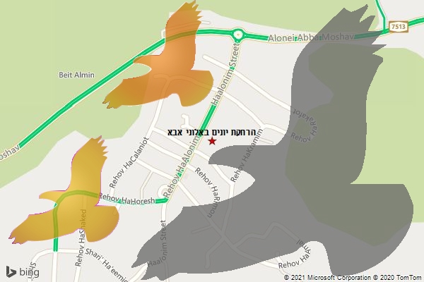 הרחקת יונים באלוני אבא