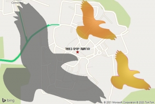 מרחיק יונים במצר - הרחקת יונים במצר